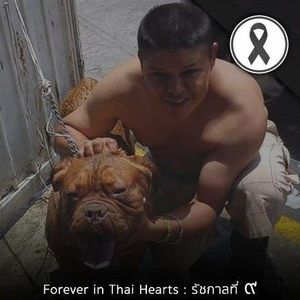 Meet your Posher, Ignacio